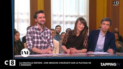 La Nouvelle Édition : Une mouche perturbe Daphné Bürki et ses chroniqueurs (Vidéo)