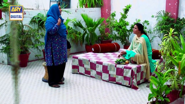 Watch Mein Mehru Hoon Episode 84 on Ary Digital in High Quality 18th November 2016