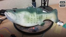 This 'Big Mouth Billy Bass' Has Artificial Intelligence