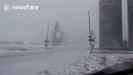 Severe blizzard conditions in Minnesota