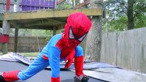 Little Heroes Spiderman vs Venom | Real Life Superhero Kids Movie Trampoline Fight