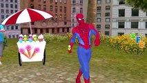 Spiderman Frozen Elsa Eating Ice Cream | Hulk Funny Compilation | SuperHero Fight Spiderman Vs Hulk