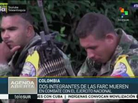 Colombia: militares explican la muerte de dos guerrilleros de las FARC