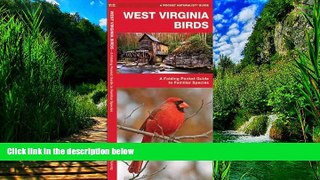 Buy  West Virginia Birds: A Folding Pocket Guide to Familiar Species (Pocket Naturalist Guide