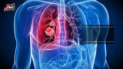 تقدر تستغنى عن معدتك؟.. 5 أعضاء بجسم الإنسان يقدر يعيش من غيرها