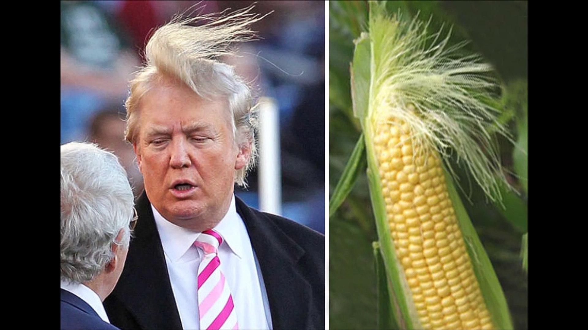 ⁣film trump