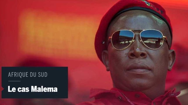 Qui est Julius Malema, l'homme qui veut exproprier les Blancs sud-Africains?