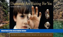Buy #A# Diamonds Are Waiting For You: Crater of Diamonds, Where Dreams Can And Do Come True  On Book
