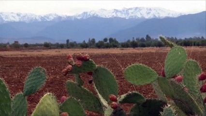 خطة بالمغرب لترشيد المياه والتصدي لظاهرة التصحر