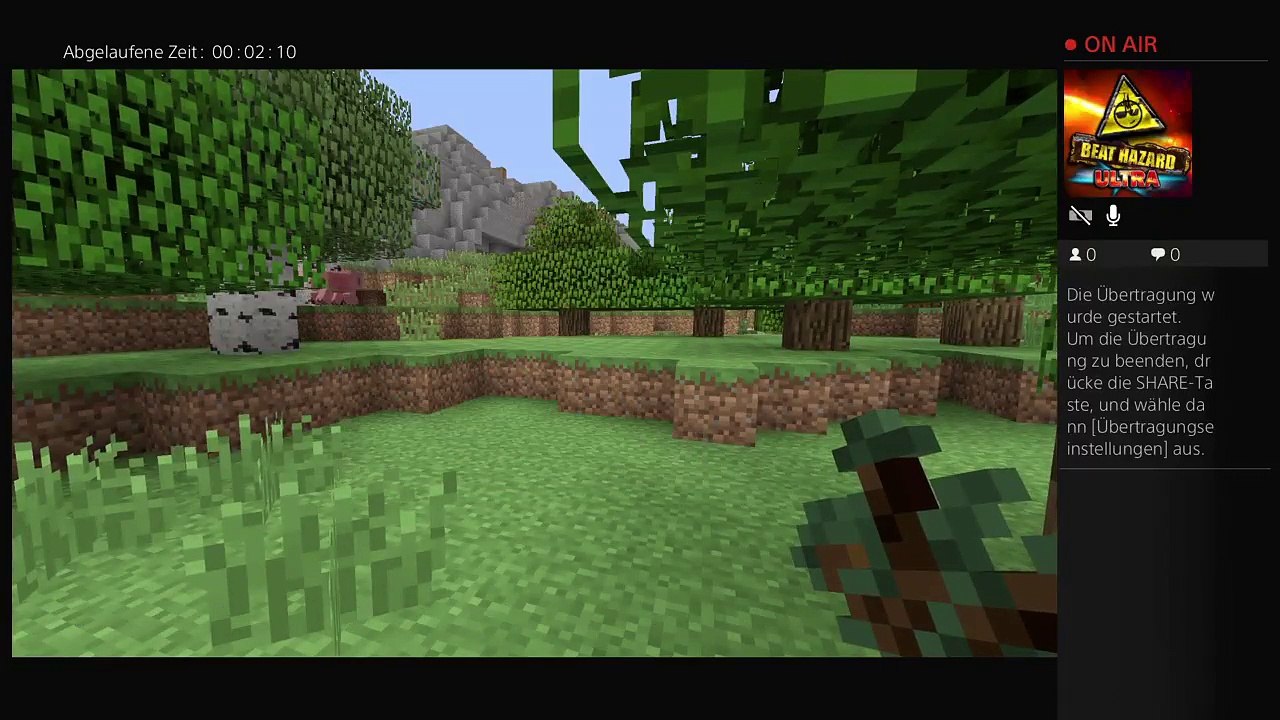 Mein erster stream (5)