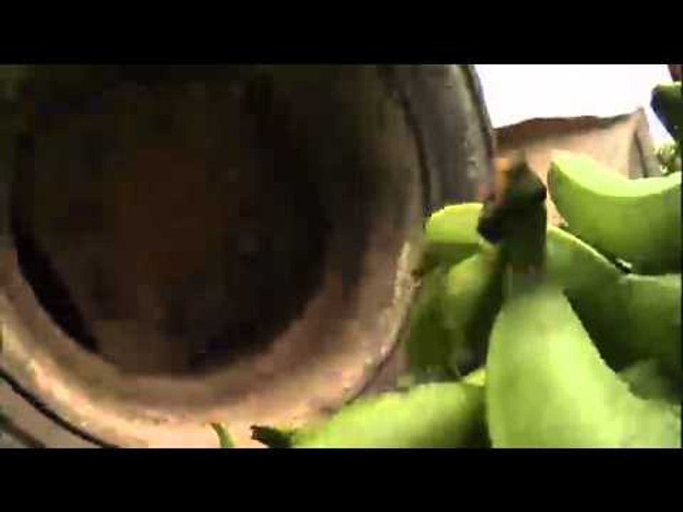 Global gâchis sur Explora - Les bananes