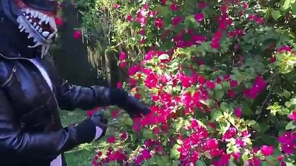 Spiderman vs Frozen Elsa vs Venom Babysits Evil Twin Baby! Team Fun Superheroes in Real Life