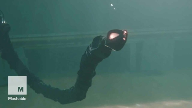 Red-eyed robot snake designed to be a janitor for the ocean bed