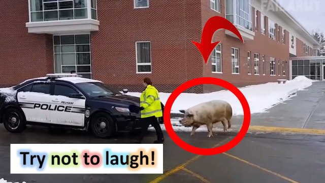 Epic funny compilation #63 [NEW] fail compilation funny fails funny pranks funny wins russians