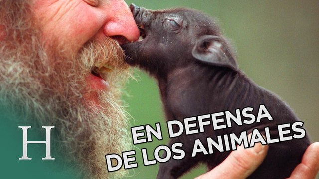 En defensa de los animales, el llamamiento de este monje budista