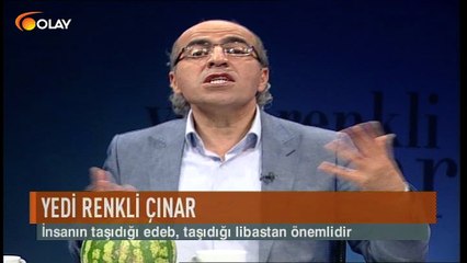 Yedi Renkli Çınar 18 11 2016