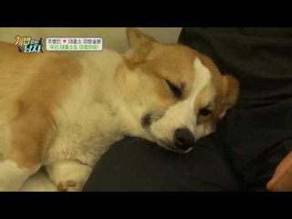 [미공개] 거의 죽을 뻔한 대중소?! 위기의 대중소!