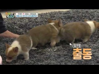 [미공개] 어린 대중소를 처음 만나면서 혼잣말이 늘어난 주병진!