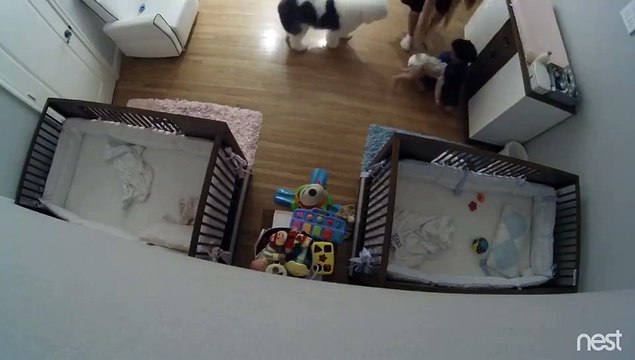 Un enfant sauve son petit frère in extremis