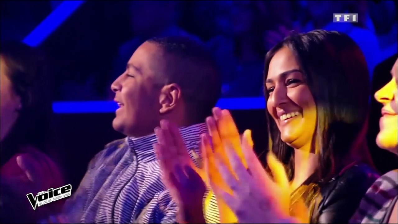 THE VOICE 2 - ...ANDER (PARODIE)