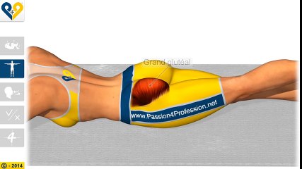 Pilates pour les fessiers