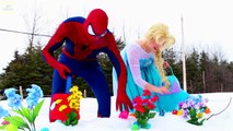 Spiderman Frozen Elsa & Pink Spidergirl VS Maleficent! Surprise Egg Hunt! Superheroes in R