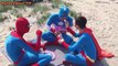 Spiderman Elsa noisome Spirit tree Venom Superman Captain deadpool Fun Superheroes in real life