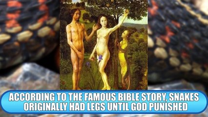 10 Most Shocking Real Mutations In Animals