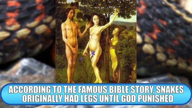 10 Most Shocking Real Mutations In Animals