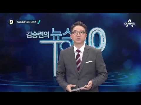 2012년 박근혜-문재인 지지자, 지금은?_채널A_뉴스TOP10