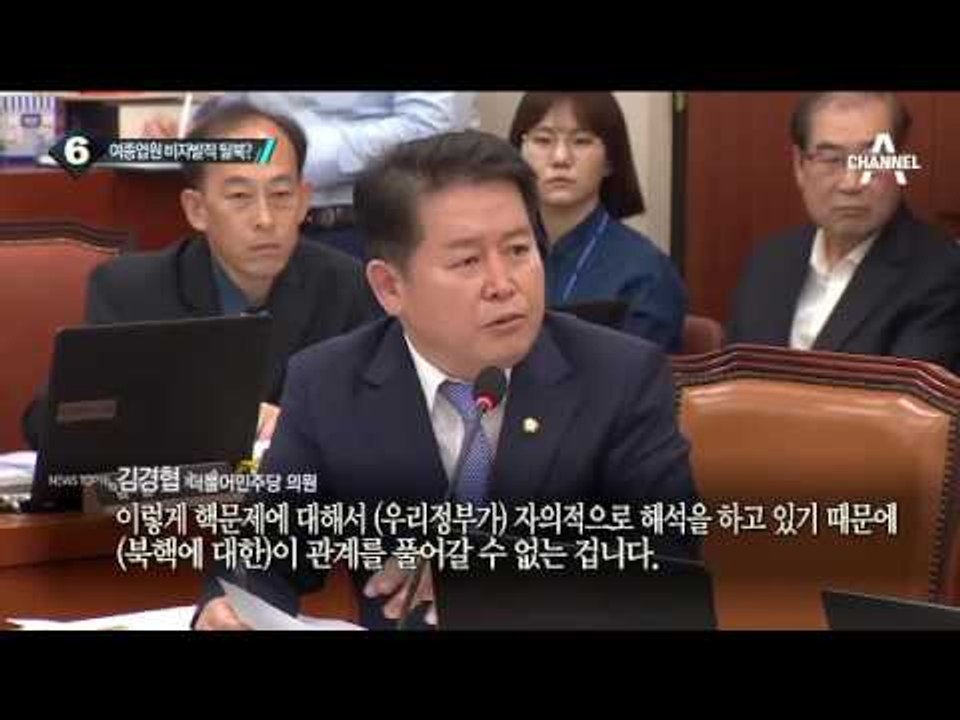 외통위 국감, 채희준 민변 통일위원장 출석_채널A_뉴스TOP10