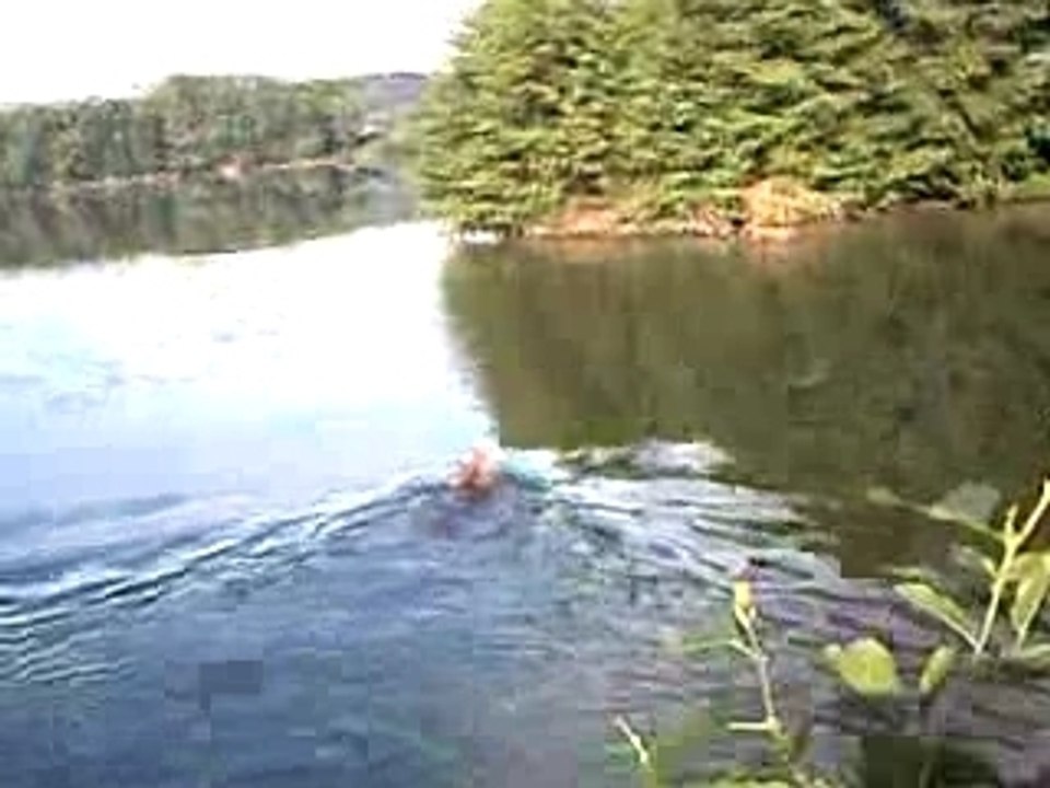 Bud & Boaz en Eau Profonde