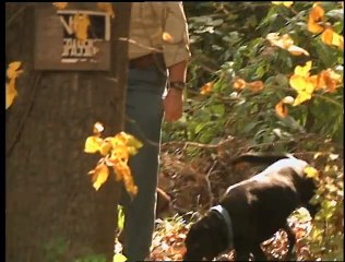 Beaten by a Hair - Forensic Files