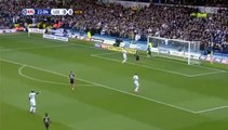 Dwight Gayle Goal - Leeds 0 - 1 Newcastle Utd 20.11.2016 HD