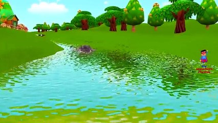 Animals Cartoons Singing Finger Family Rhymes for Children | Animals Children Nursery Rhymes