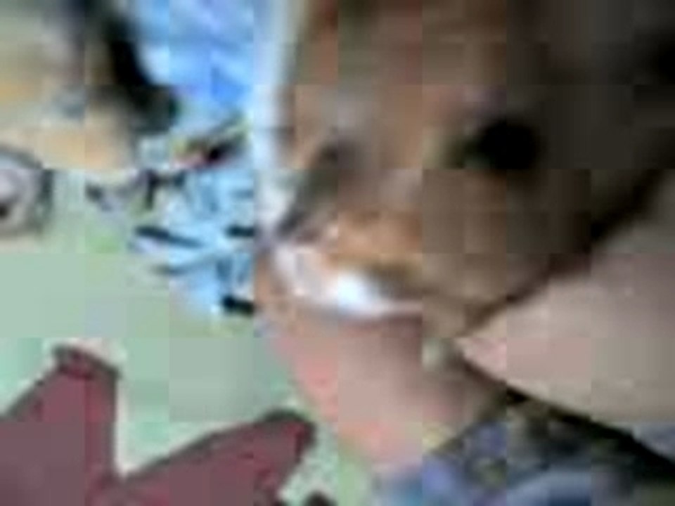 limy