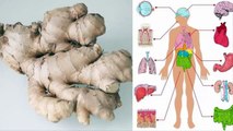 Eat Ginger Every Day for 1 Month and This Will Happen to Your Body