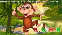 Finger family Song | Nursery Rhymes (monkey) | Daddy Finger Song