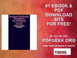 Bruchlinien der Erfahrung Phänomenologie - Psychoanalyse - Phänomenotechnik (suhrkamp taschenbuch wissenschaft)