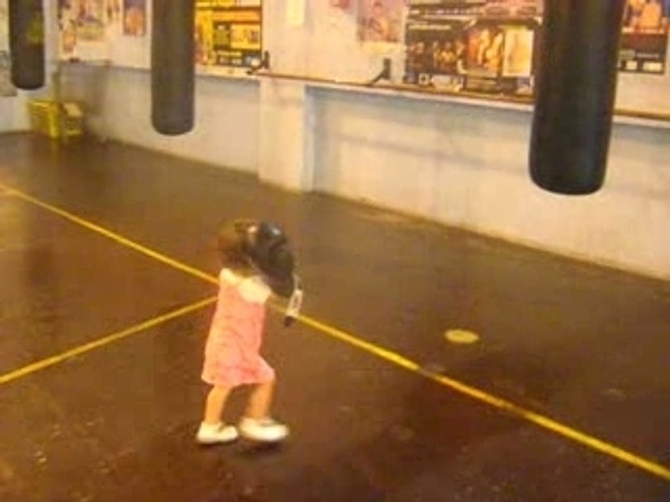 boxing funny puppy