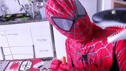 Spiderman and Frozen Elsa vs DINOSAUR & SHARK Attack w/BatMan Funny Superheroes in Real Life Prank