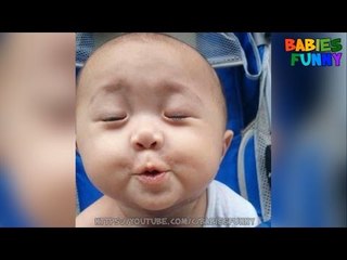 Funny Babies Vines Compilation 2017