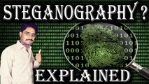 Steganography Detail Explained | Secret Messages Sending in Image & Audio & Video Files