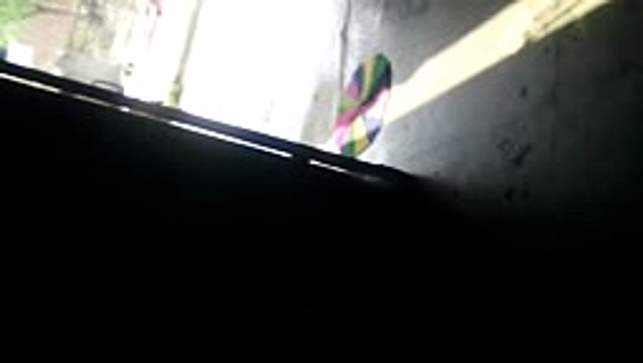 Funny Video 2