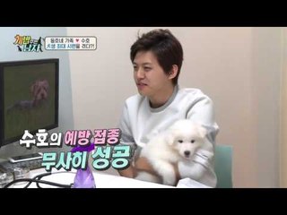 예방주사 맞고 깜짝 놀란 수호?! 놀란 모습도 귀욤..♥