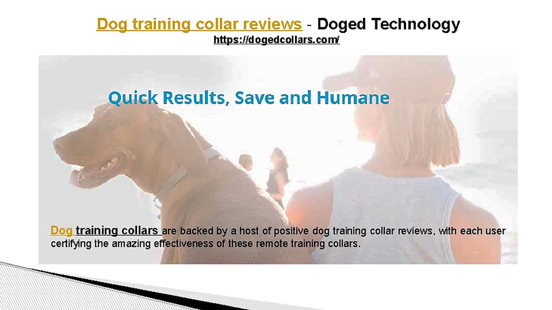 ⁣Dog training collar reviews - Doged Technology