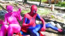 SPIDER-MAN TURNS VS THE JOKER !! Bad Baby Spiderman vs Frozen Elsa w/ Toy Freaks Family Hidden Egg
