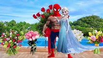 #Spiderman crying #Frozen Elsa blow singum Finger Family