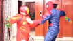 SuperHeroes Playing WIth Dolls In Real Life | Spiderman Vs Ironman Fighting For Dolls Fun SuperHero