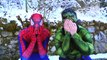 SPIDERMAN HURTS VS HULK & JOKER !! Frozen Elsa Pink Spidergirl w/ Epic Funny Balls Party!